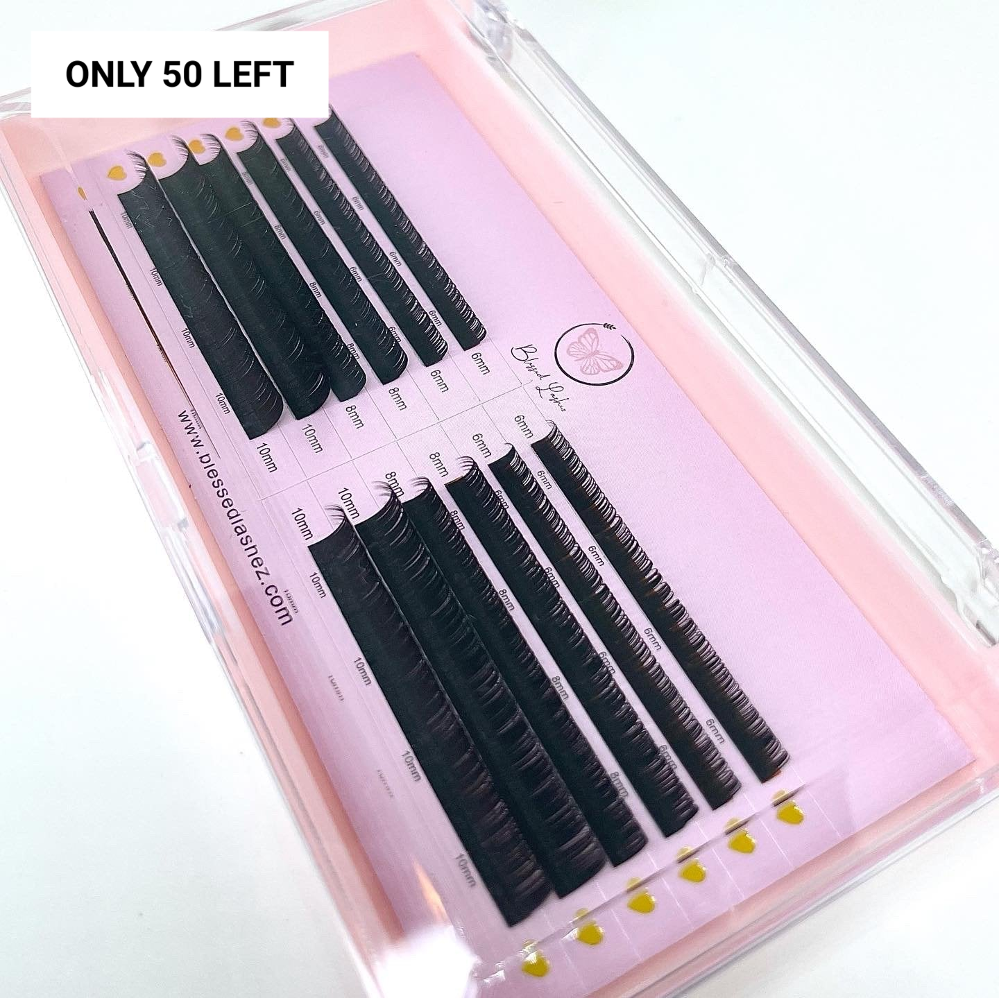 Exclusive Bottom Lashes